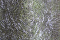 Winkleigh fibreglass roof work